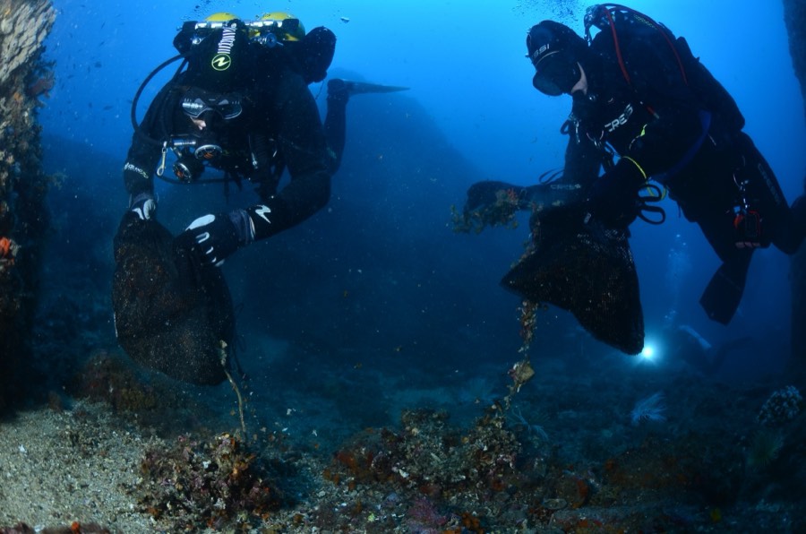 Two divers collecting waste from a rocky reef into mesh bags